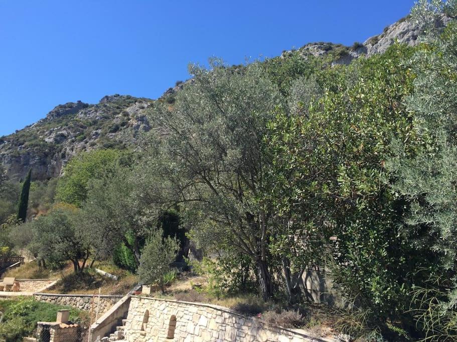 Appartement Sur La Colline Avec Acces Piscine Volx Εξωτερικό φωτογραφία